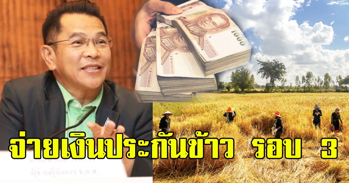 เกษตรกรเฮ รัฐบาล จ่ายเงินช่วยชาวนา ต่อเนื่องไม่หยุด