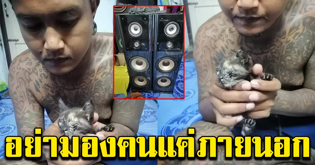 หนุ่มสักลายทนไม่ไหว หลังเห็นแมวน้อยบาดเจ็บ หลงมาที่บ้าน
