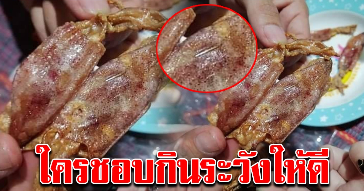 สาวซื้อหมึกแห้งมาทอดกิน