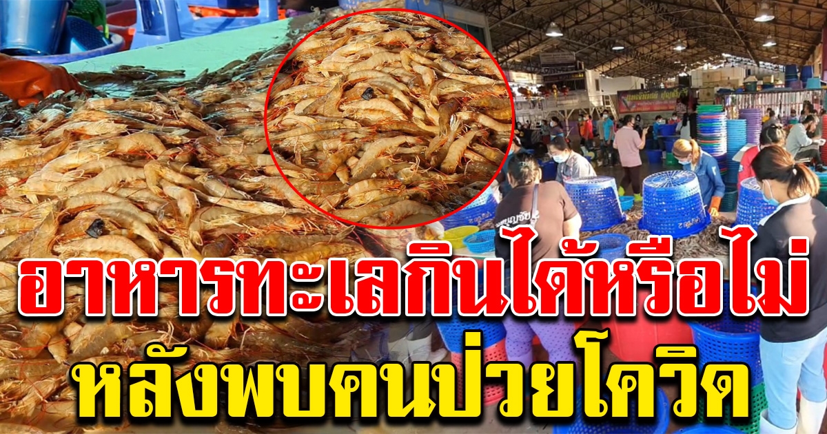 ตอบข้อสงสัย อาหารทะเลยังกินได้หรือไม่