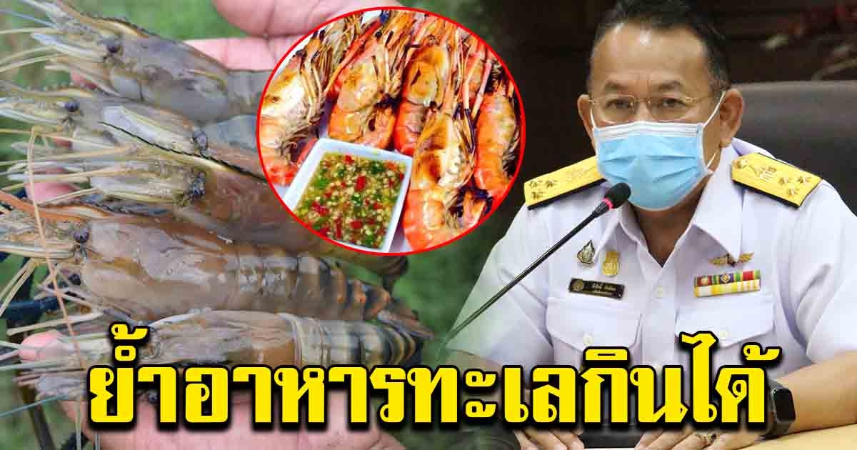 อธิบดีกรมประมง ย้ำชัด อาหารทะเล ปรุงสุกกินได้