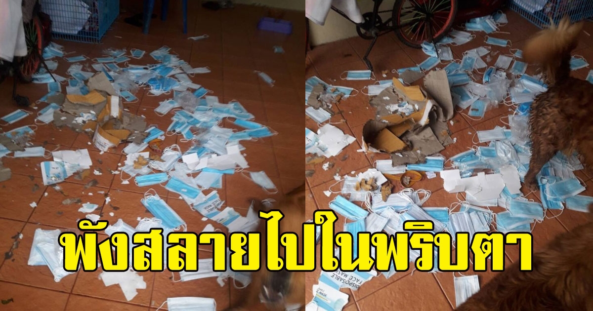 สาวโพสต์ น้อง ส่งหน้ากากอนามัยมาให้ 1 ลัง พร้อมเจลล้างมือ 3 ขวด พอของมาส่งกลับพังสลายไปในพริบตา
