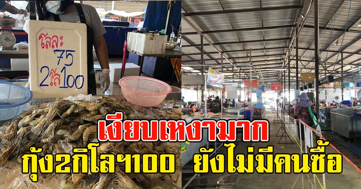เงียบเหงามาก ตลาดติดป้ายกุ้ง2กิโลฯ100เดียว ยังไม่มีคนซื้อ