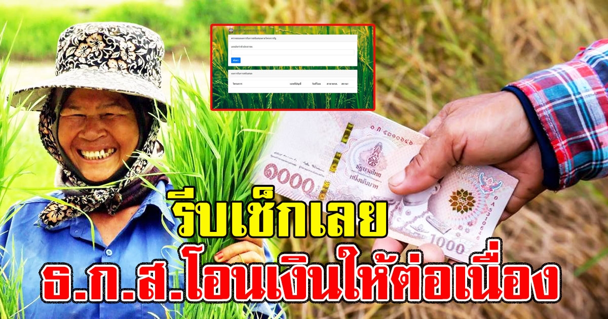 รีบเช็กเลย ธ.ก.ส.โอนเงินให้ต่อเนื่อง เงินประกันรายได้เกษตรกร