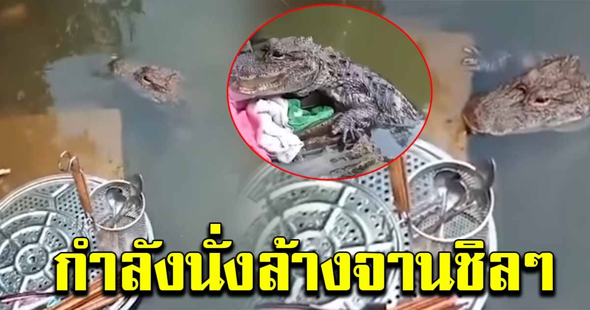 สาวกำลังนั่งล้างจานชิลๆ