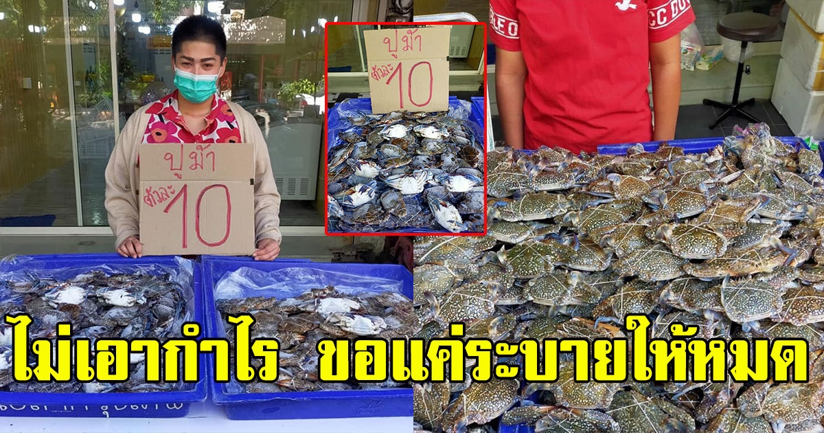 เจ้าของร้านสาว ยอมขายปูม้าตัวใหญ่ไม่เอากำไร ขอแค่ระบายให้หมด