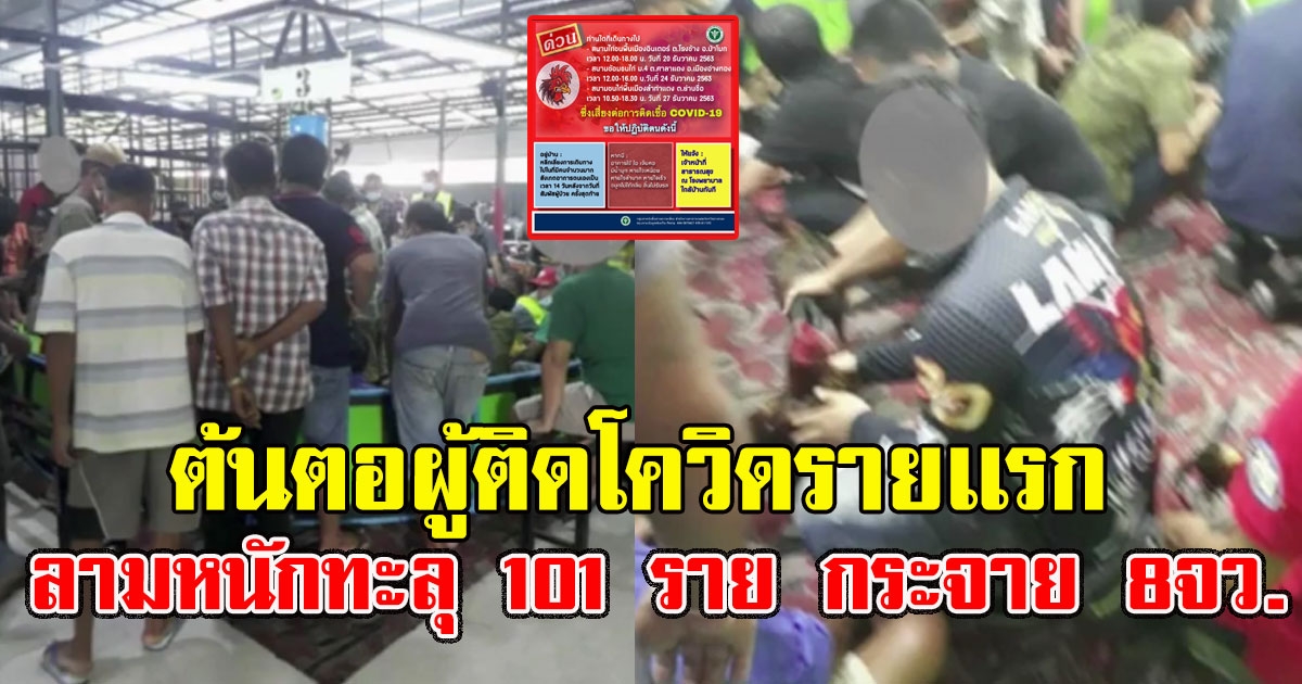 สนามชนไก่อ่างทอง เผยต้นตอผู้ติดรายแรก