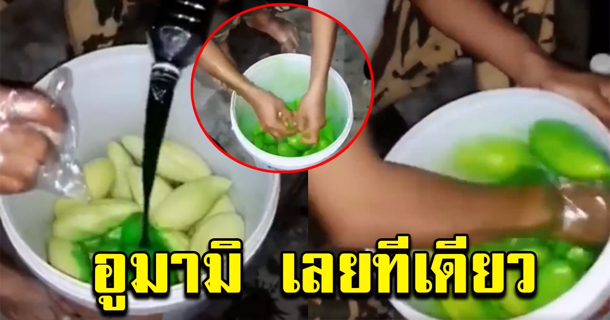 หนุ่มทำมะม่วงแช่บ๊วยแพ็คใส่ถุง