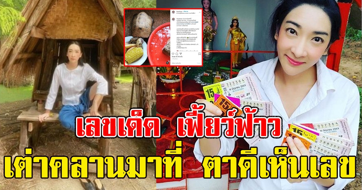 เฟี้ยว์ฟ้าว โพสต์แล้ว