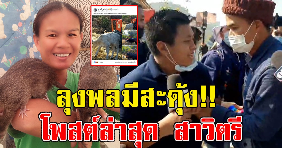 โพสต์ล่าสุด สาวิตรี