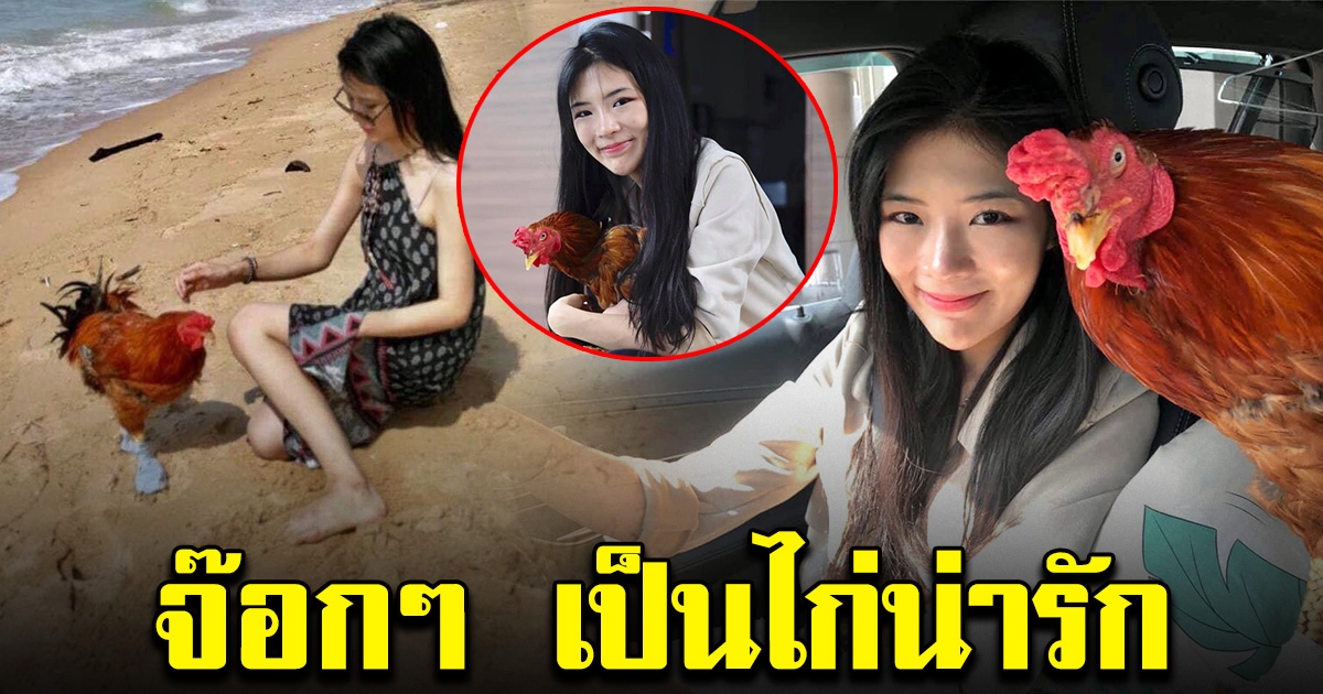 สาวเปิดใจ เหตุผลที่เลือกเลี้ยงไก่