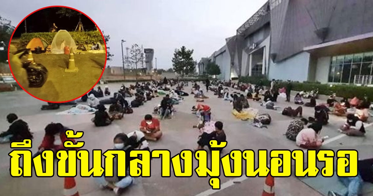 ภาพล่าสุด คนแห่ หิ้วขนมปังแบรนด์ดัง