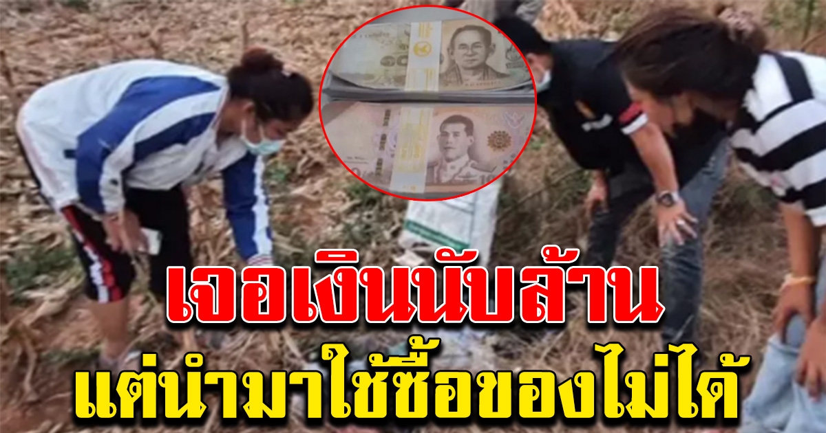 ชาวบ้านเจอแบงก์พันเป็นปึก นับล้าน ในป่าข้างทาง