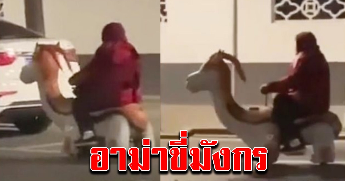 อาม่า ขี่สกู๊ตเตอร์มังกร กลับบ้าน