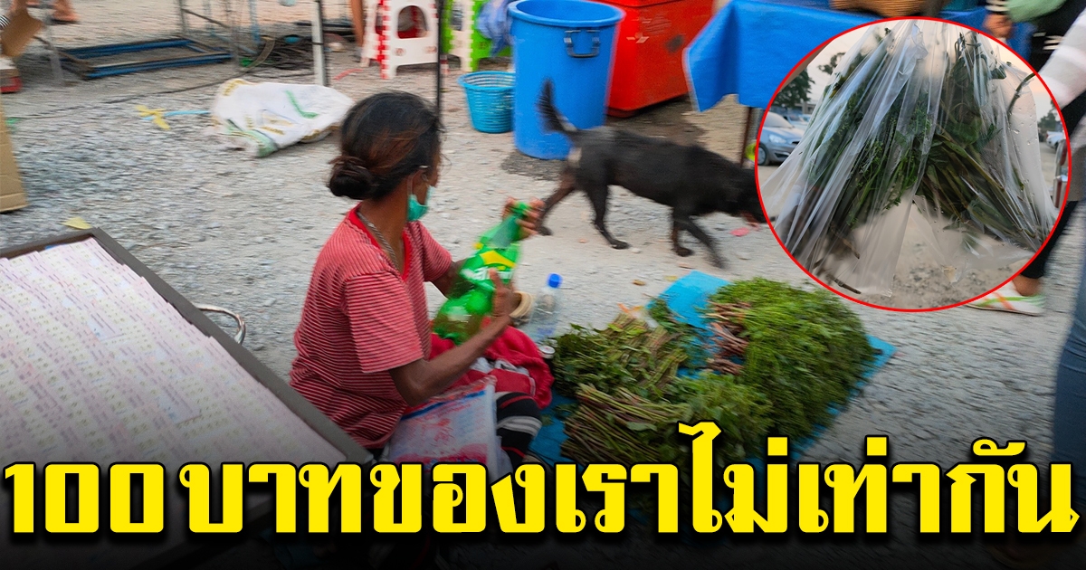 สาวเห็นแม่ค้าผักในตลาด