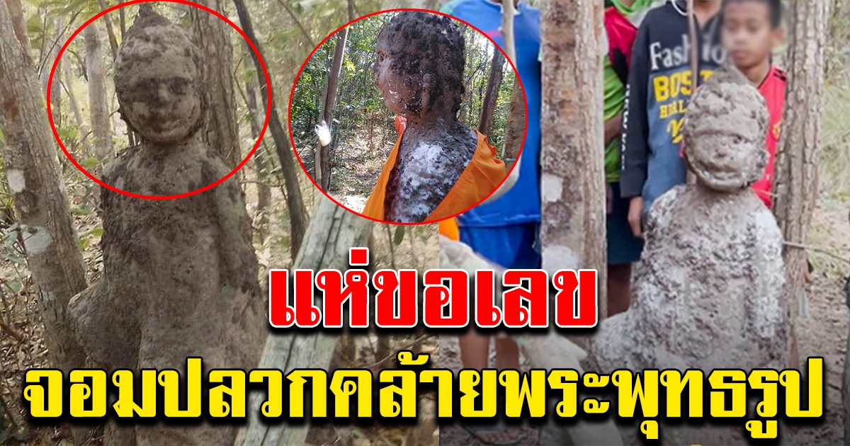 พบจอมปลวกคล้ายพระพุทธรูป โผล่กลางป่า