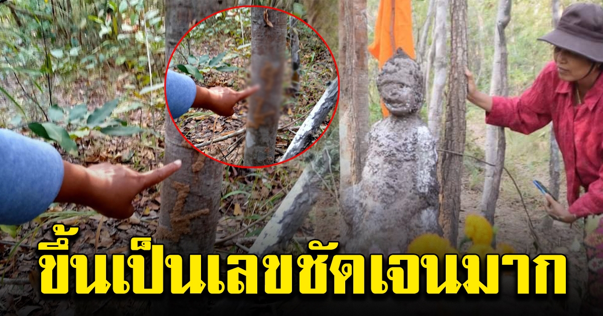 ชาวบ้านแห่ไปดู ปลวกขึ้นต้นไม้ ข้างๆจอมปลวกรูปคน