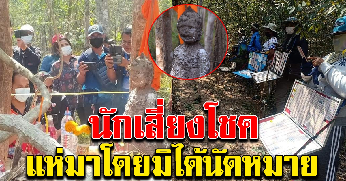 ภาพล่าสุด จอมปลวก กลางป่า