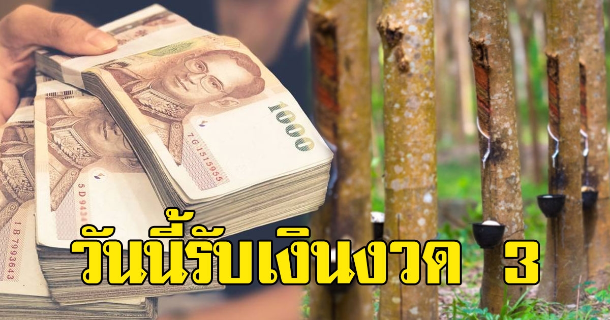 ชาวสวนยางเฮ วันนี้ 29 ม.ค 2564 เตรียมรับเงินประกันงวด 3