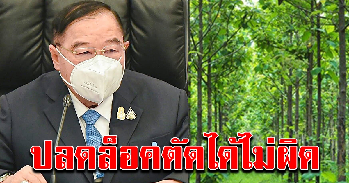 ปลดล็อก ไม้หวงห้าม บนที่ ส.ป.ก. ตัดได้ ไม่ผิด