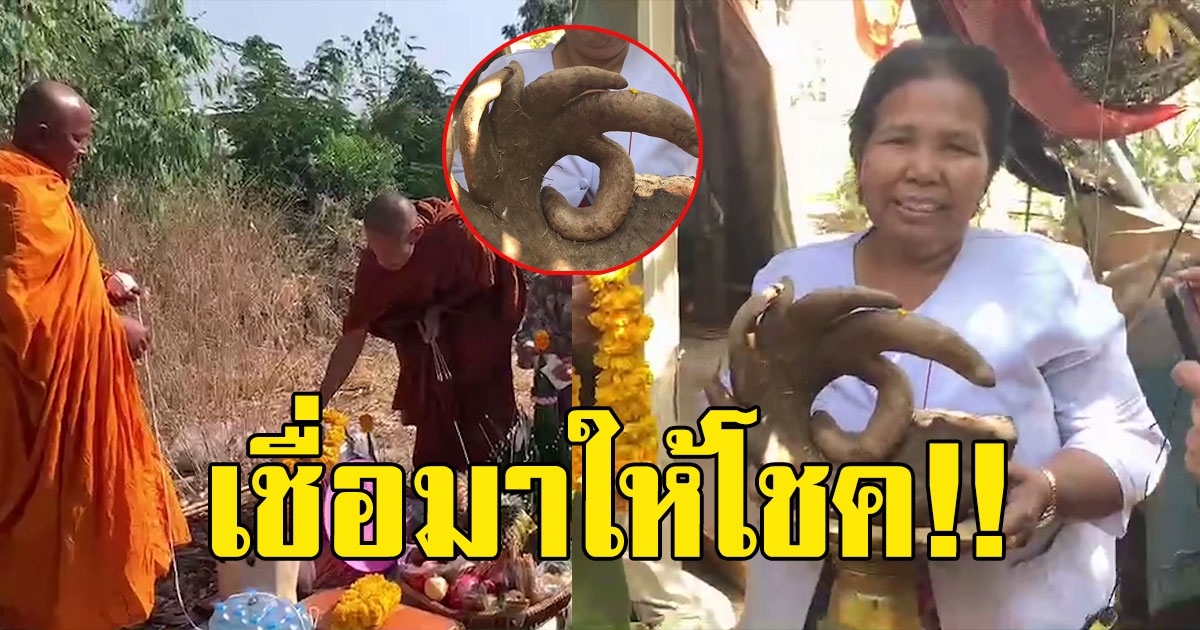 ลูกสาว ฝันประหลาด ก่อนพ่อขุดเจอ