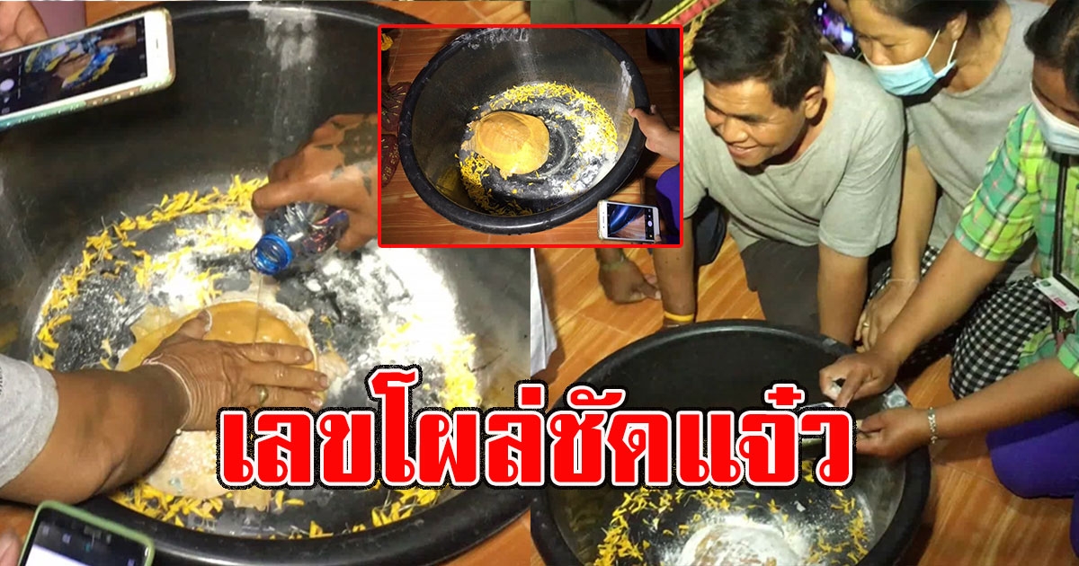 ตะพาบสีทอง