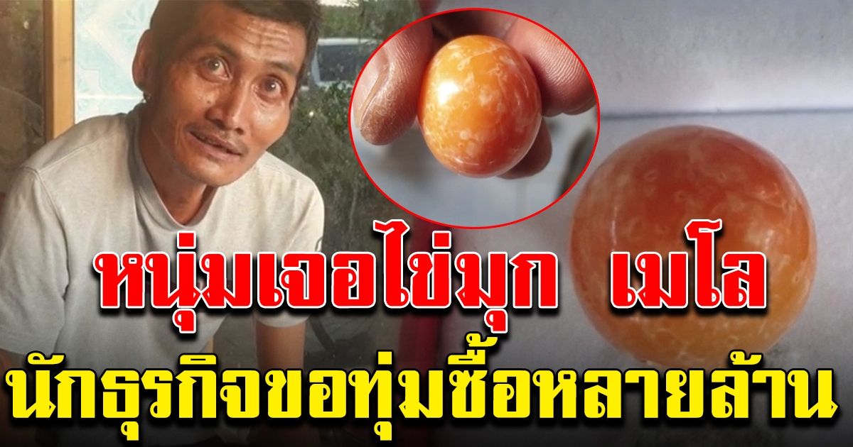 ชาวบ้านเจอ ไข่มุกเมโล นักธุรกิจขอทุ่มซื้อหลายล้าน