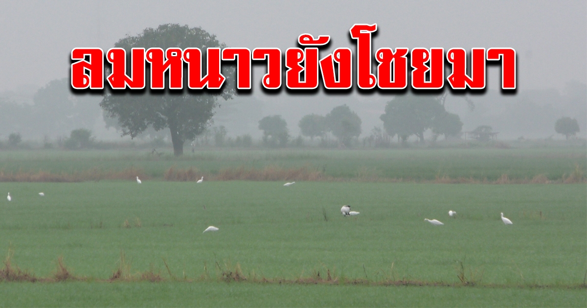 กรมอุตุฯ เผยอากาศวันนี้ยังหนาว