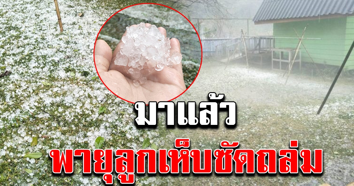 ดอยอ่างขาง เจอพายุ