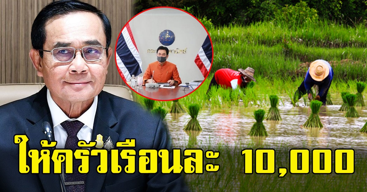 เปิดรายละเอียด รัฐไฟเขียวช่วยชาวนา ให้สูงสุดครัวเรือนละ 10,000