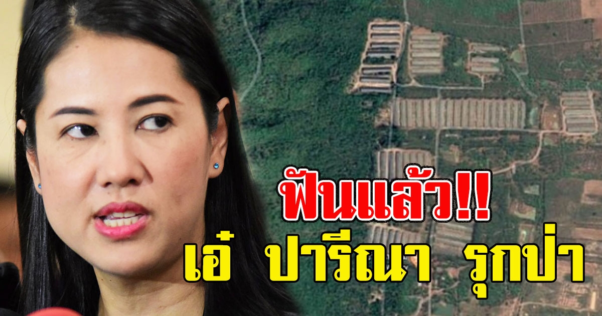ไม่รอด ป.ป.ช. ฟัน เอ๋ ปารีณา ผิดจริยธรรมร้ายแรงรุกป่า