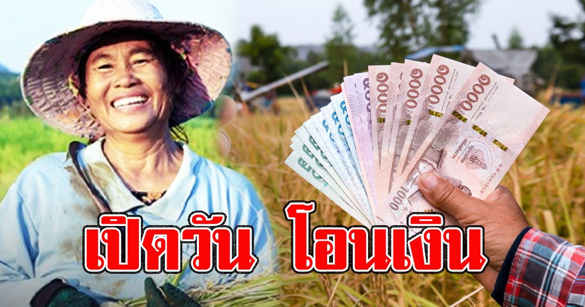 เปิดวัน โอนเงินประกันรายได้เกษตร จ่ายส่วนต่าง ประกันราคาข้าว