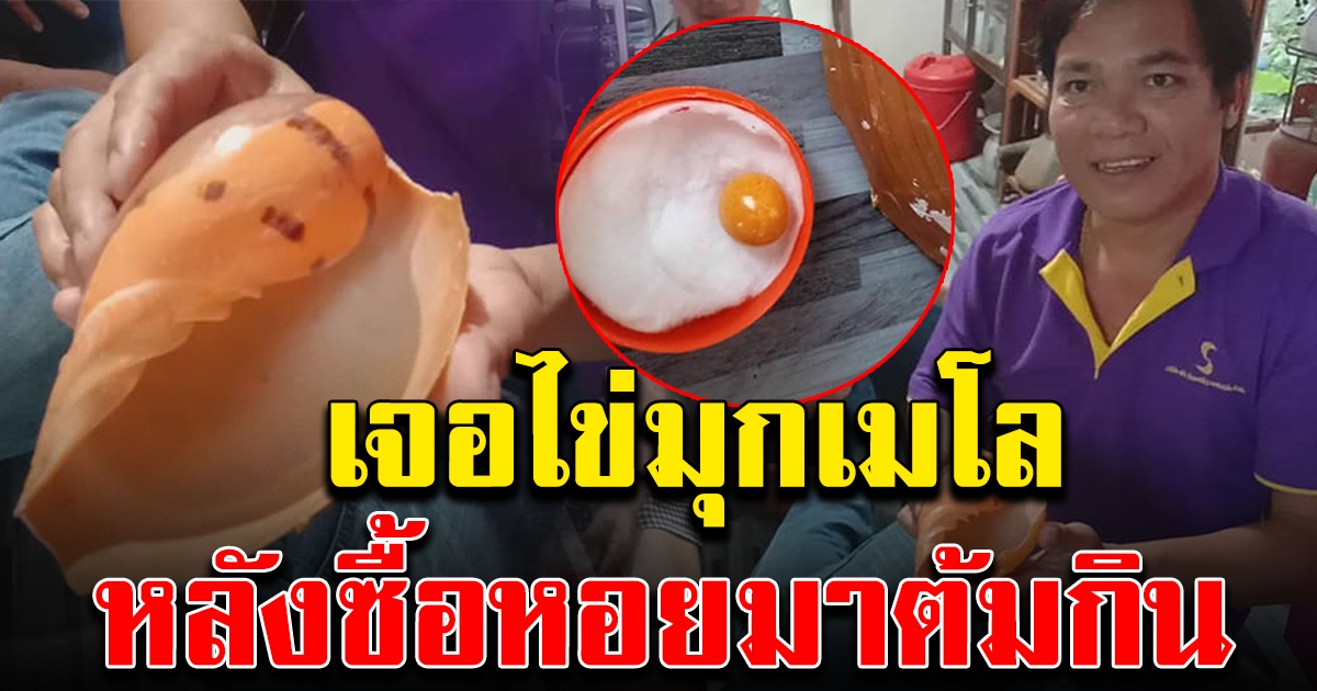 หนุ่มเจอไข่มุกเมโล