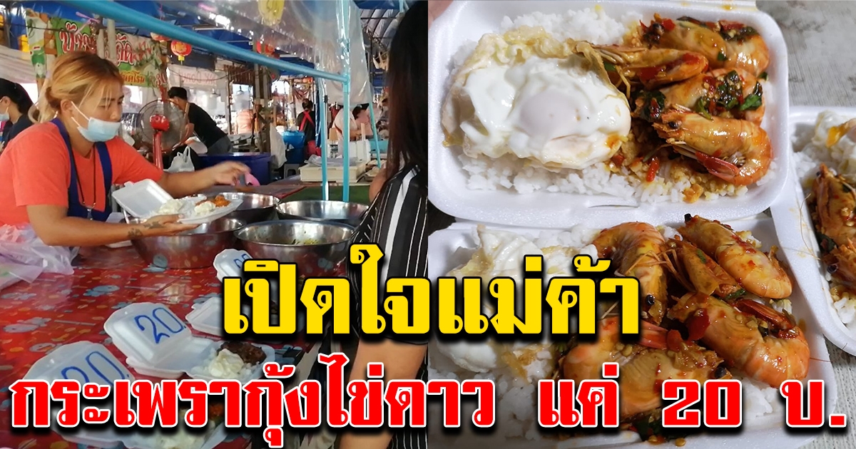 ข้าวกะเพรากุ้ง โปะไข่ดาว