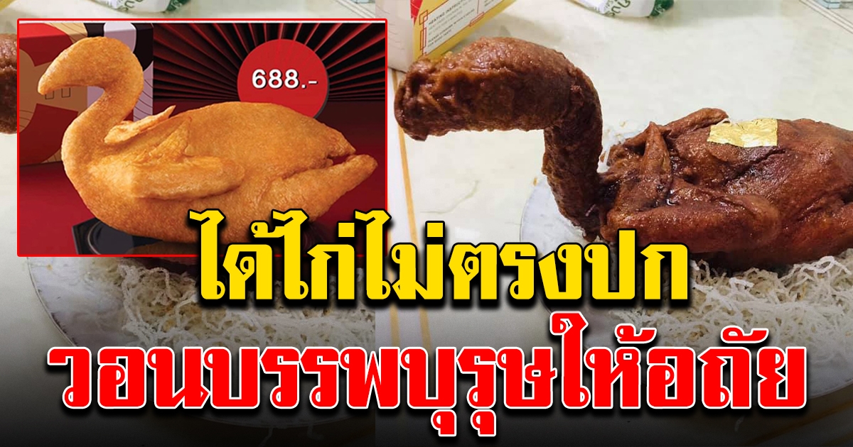 สาวสั่งไก่ มาไหว้บรรพบุรุษ