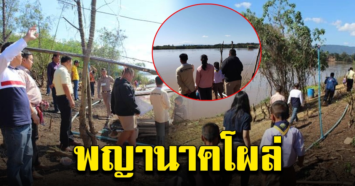 พิสูจน์ พญานาค โผล่กลางน้ำโขงซ้ำ 2 รอบ