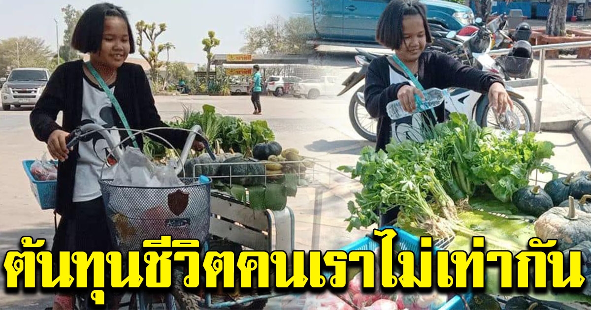 สาวน้อย ป.4 ปั่นสามล้อพ่วง เร่ขายผัก