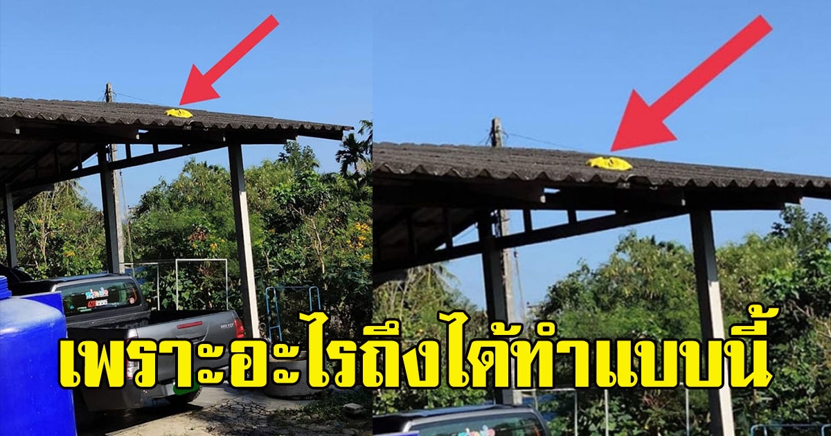 สาวเดือด พนักงานขนส่งดัง ส่งของให้บนหลังคา