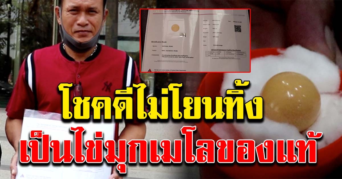 หนุ่มเฮ เจอไข่มุกเมโล