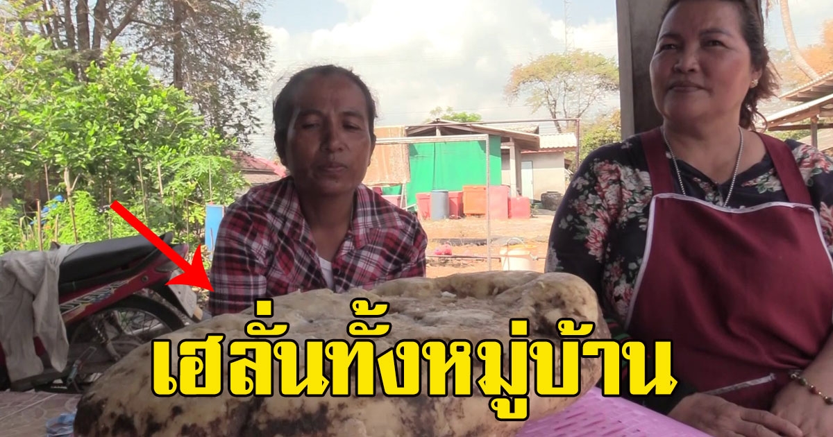 ชาวบ้าน ดจอของแปลก ริมทะเล ก่อนมองดูดีๆ เฮลั่นทั้งหมู่บ้าน