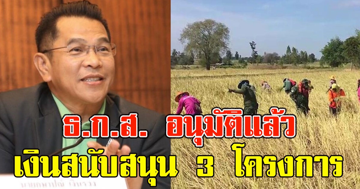 ธ.ก.ส. อนุมัติแล้ว เงินสนับสนุน 3 โครงการช่วยเหลือเกษตรกรผู้ปลูกข้าว