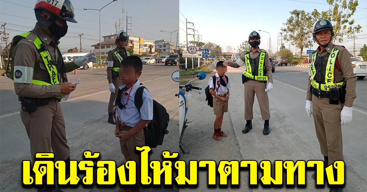 หนุ่มน้อย เดินมาตามทาง