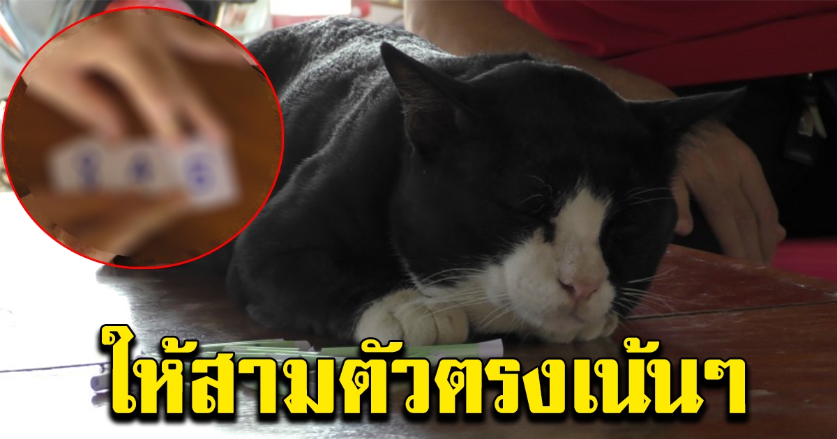 เจ้าโทน