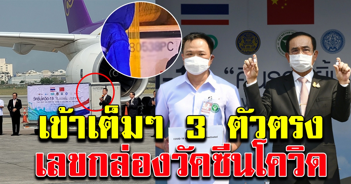 เลขกล่องวัคซีน