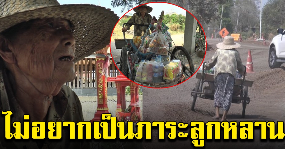 ยายวัย 82 ไม่อยู่เฉย