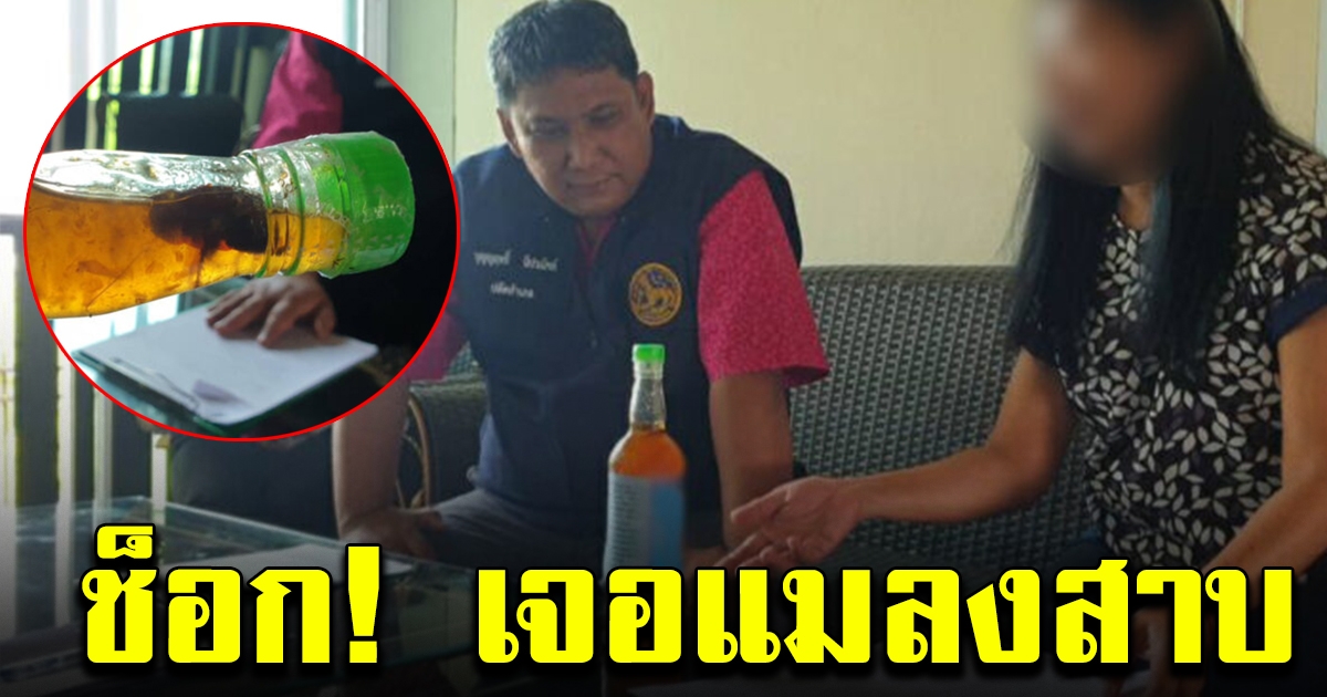 สาวส่งน้ำจิ้มบ๊วย