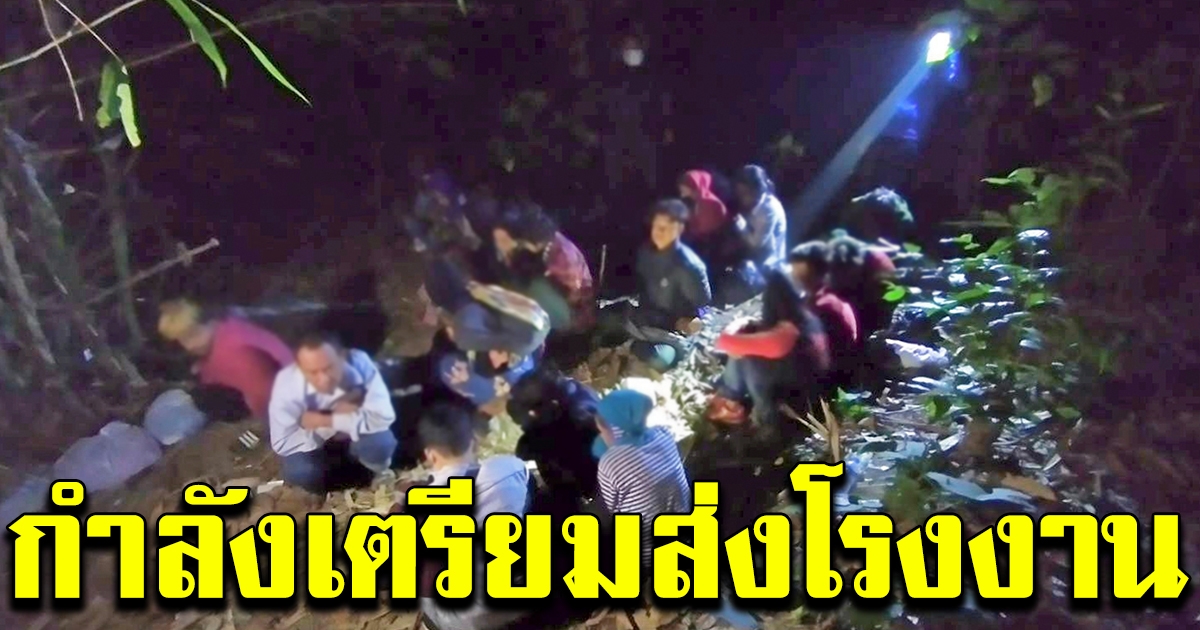 ดักจับตัวการ ส่งแรงงานริมป่าชายแดนเมืองกาญจน์ เตรียมส่งโรงงาน