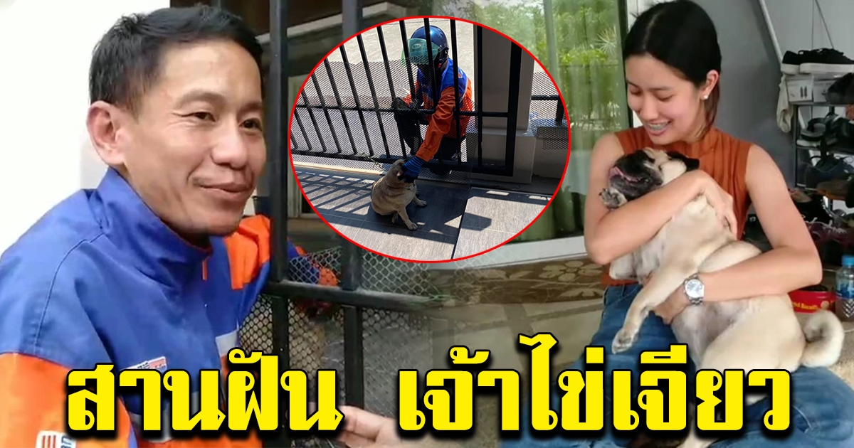 สานฝัน เจ้าไข่เจียว