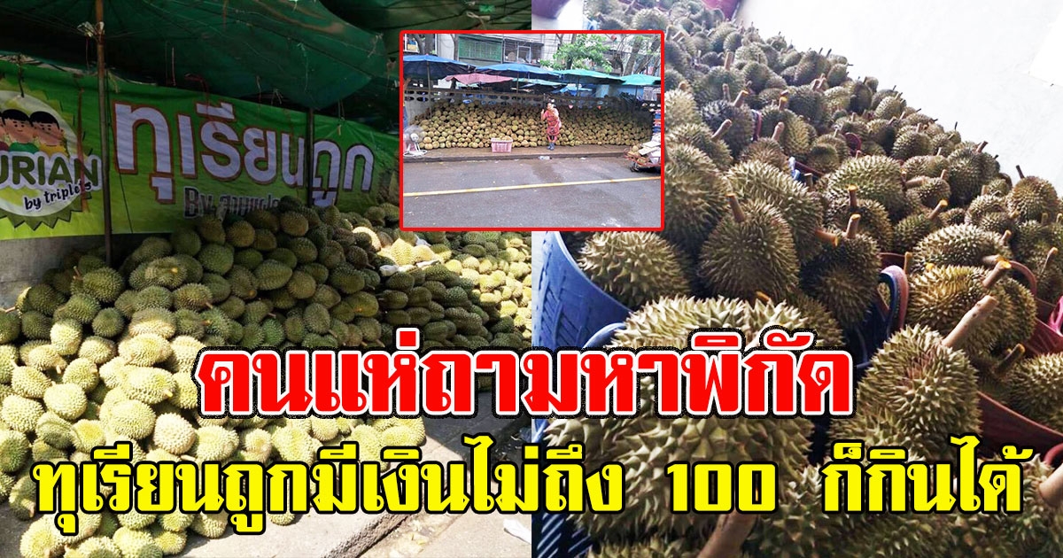 สาวโพสต์ทุเรียนถูก มีเงินไม่ถึง 100 ก็กินได้ คนแห่ถามหาพิกัด