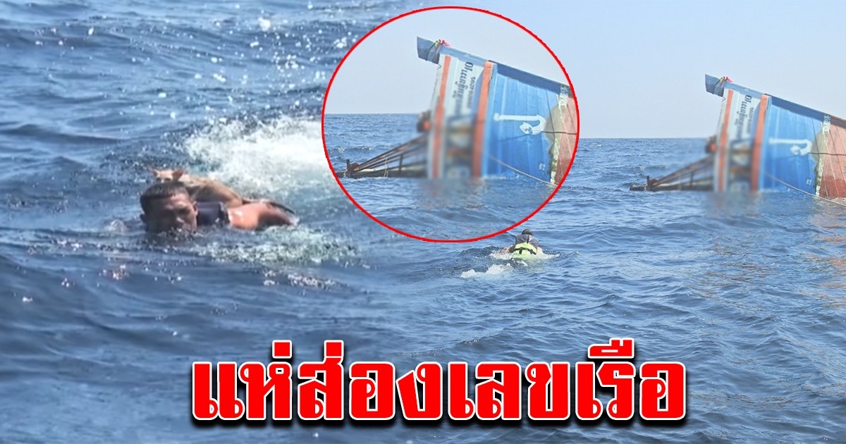 โฟกัสเลขเรือ